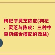 枸杞子灵芝陈皮(枸杞、灵芝与陈皮：三种中草药综合搭配的效益)