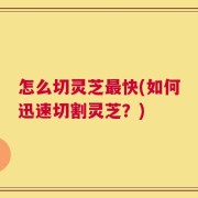 怎么切灵芝最快(如何迅速切割灵芝？)