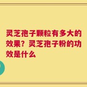 灵芝孢子颗粒有多大的效果？灵芝孢子粉的功效是什么
