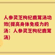 人参灵芝枸杞鹿茸汤功效(提高身体免疫力的汤：人参灵芝枸杞鹿茸汤)
