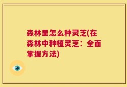 森林里怎么种灵芝(在森林中种植灵芝：全面掌握方法)