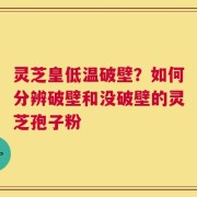 灵芝皇低温破壁？如何分辨破壁和没破壁的灵芝孢子粉