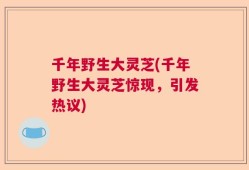 千年野生大灵芝(千年野生大灵芝惊现，引发热议)