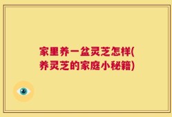 家里养一盆灵芝怎样(养灵芝的家庭小秘籍)