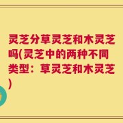 灵芝分草灵芝和木灵芝吗(灵芝中的两种不同类型：草灵芝和木灵芝)