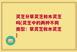 灵芝分草灵芝和木灵芝吗(灵芝中的两种不同类型：草灵芝和木灵芝)