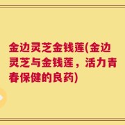 金边灵芝金钱莲(金边灵芝与金钱莲，活力青春保健的良药)