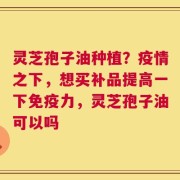 灵芝孢子油种植？疫情之下，想买补品提高一下免疫力，灵芝孢子油可以吗