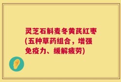 灵芝石斛麦冬黄芪红枣(五种草药组合，增强免疫力、缓解疲劳)
