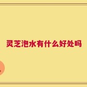 灵芝泡水有什么好处吗