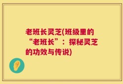 老班长灵芝(班级里的“老班长”：探秘灵芝的功效与传说)
