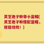 灵芝孢子粉带小蓝帽(灵芝孢子粉搭配蓝帽，双倍功效！)