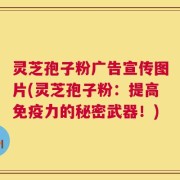 灵芝孢子粉广告宣传图片(灵芝孢子粉：提高免疫力的秘密武器！)