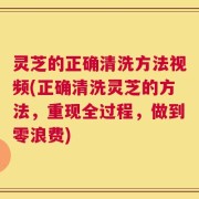 灵芝的正确清洗方法视频(正确清洗灵芝的方法，重现全过程，做到零浪费)