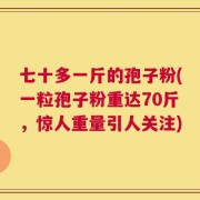 七十多一斤的孢子粉(一粒孢子粉重达70斤，惊人重量引人关注)