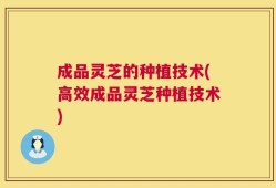 成品灵芝的种植技术(高效成品灵芝种植技术)
