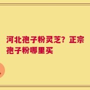 河北孢子粉灵芝？正宗孢子粉哪里买