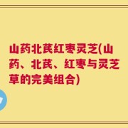 山药北芪红枣灵芝(山药、北芪、红枣与灵芝草的完美组合)