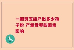 一颗灵芝能产出多少孢子粉 产量受哪些因素影响