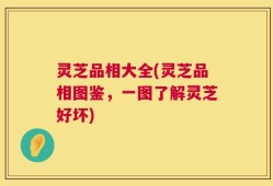 灵芝品相大全(灵芝品相图鉴，一图了解灵芝好坏)