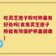 吃灵芝孢子粉对卵巢有好处吗(食用灵芝孢子粉能有效保护卵巢健康)