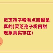 灵芝孢子粉有点回甜是真的(灵芝孢子粉回甜现象真实存在)