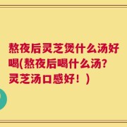 熬夜后灵芝煲什么汤好喝(熬夜后喝什么汤？灵芝汤口感好！)
