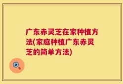广东赤灵芝在家种植方法(家庭种植广东赤灵芝的简单方法)