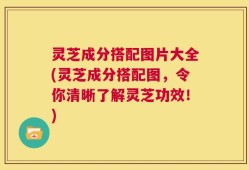 灵芝成分搭配图片大全(灵芝成分搭配图，令你清晰了解灵芝功效！)