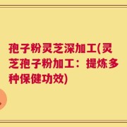 孢子粉灵芝深加工(灵芝孢子粉加工：提炼多种保健功效)