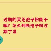 过期的灵芝孢子粉能干嘛？怎么判断孢子粉过期了没