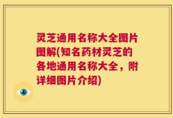 灵芝通用名称大全图片图解(知名药材灵芝的各地通用名称大全，附详细图片介绍)
