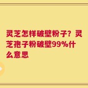 灵芝怎样破壁粉子？灵芝孢子粉破壁99%什么意思