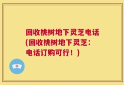 回收桃树地下灵芝电话(回收桃树地下灵芝：电话订购可行！)