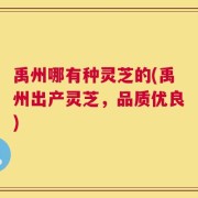 禹州哪有种灵芝的(禹州出产灵芝，品质优良)