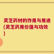 灵芝药材的作用与用途(灵芝药用价值与功效)