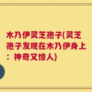 木乃伊灵芝孢子(灵芝孢子发现在木乃伊身上：神奇又惊人)