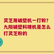 灵芝用破壁机一打粉？九阳破壁料理机是怎么打灵芝粉的