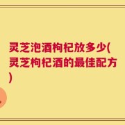 灵芝泡酒枸杞放多少(灵芝枸杞酒的最佳配方)