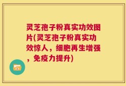 灵芝孢子粉真实功效图片(灵芝孢子粉真实功效惊人，细胞再生增强，免疫力提升)