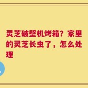 灵芝破壁机烤箱？家里的灵芝长虫了，怎么处理