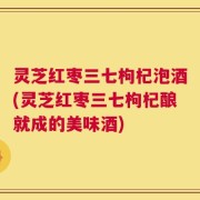 灵芝红枣三七枸杞泡酒(灵芝红枣三七枸杞酿就成的美味酒)