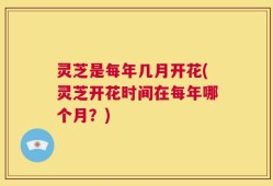 灵芝是每年几月开花(灵芝开花时间在每年哪个月？)