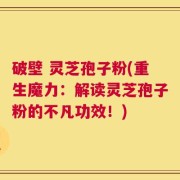 破壁 灵芝孢子粉(重生魔力：解读灵芝孢子粉的不凡功效！)