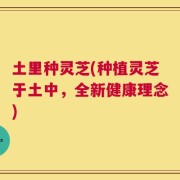 土里种灵芝(种植灵芝于土中，全新健康理念)