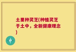 土里种灵芝(种植灵芝于土中，全新健康理念)