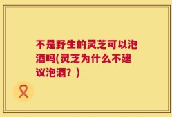 不是野生的灵芝可以泡酒吗(灵芝为什么不建议泡酒？)