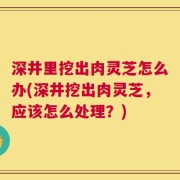 深井里挖出肉灵芝怎么办(深井挖出肉灵芝，应该怎么处理？)
