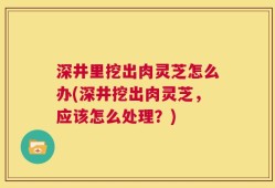 深井里挖出肉灵芝怎么办(深井挖出肉灵芝，应该怎么处理？)