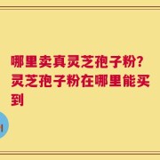哪里卖真灵芝孢子粉？灵芝孢子粉在哪里能买到